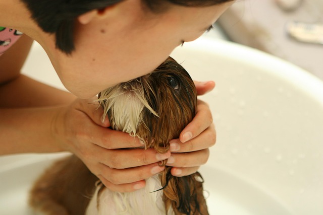 Lightbox gallery image of pet spa bath and coat reset